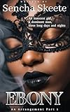 Ebony An Arrangement Bwwm Erotic Romance Part I