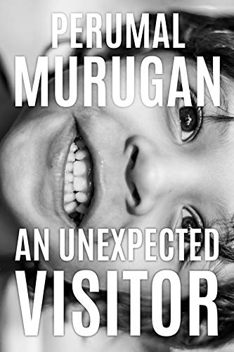 An Unexpected Visitor cover