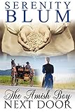 The Amish Boy Next Door