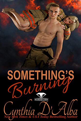 Something's Burning book cover