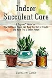 Indoor Succulent Care A Beginners Guide On How Succulent Plants Can Keep You Out Of Trouble And Make You A Better Person