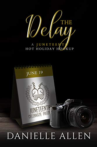 The Delay book cover