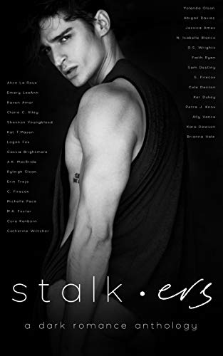 Stalkers book cover