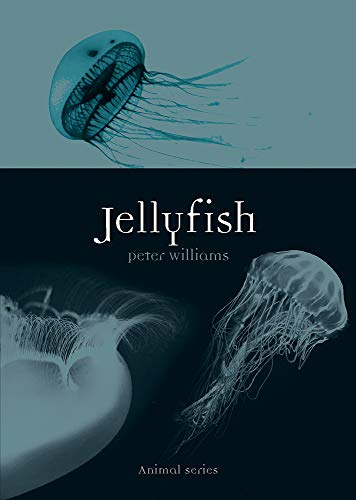Jellyfish (By: Peter Williams) cover
