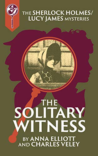 The Solitary Witness book cover