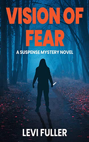 Vision of Fear book cover