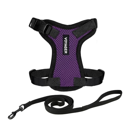 Voyager Step-in Lock Cat Harness and Reflective Cat Leash with Neoprene Handle by Best Pet Supplies - Supports Small, Medium and Large Breed Cats, Purple/Black Trim, size XXS - 5ft