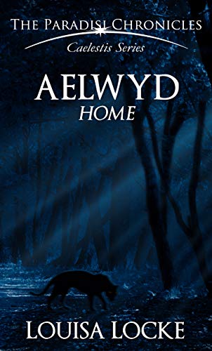Aelwyd book cover