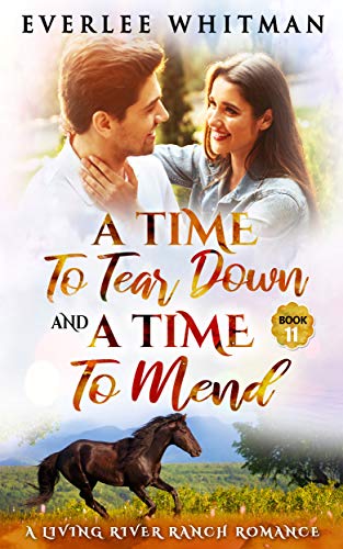 A Time To Tear Down and A Time To Mend book cover