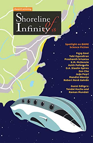 Shoreline of Infinity 18 book cover