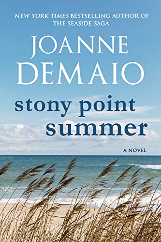 Stony Point Summer book cover
