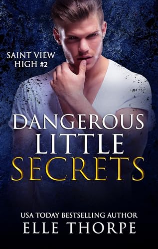 Dangerous Little Secrets book cover