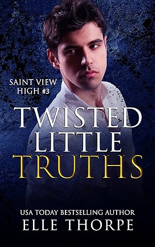 Twisted Little Truths book cover