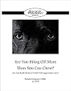 Are You Biting Off More Than You Can Chew? Are You Really Ready To Work With Aggression Cases?