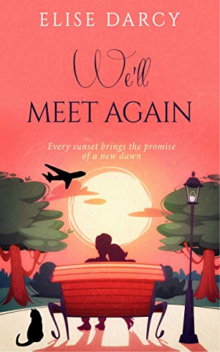 We'll Meet Again book cover