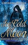 Ice Cold Moon (Wildeward Academy #2)