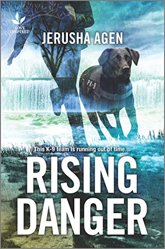 Rising Danger book cover