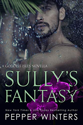 Sully's Fantasy cover
