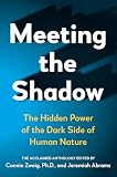 Meeting The Shadow