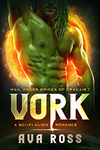 Vork book cover