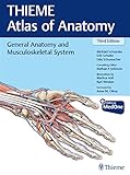 General Anatomy And Musculoskeletal System Thieme Atlas Of Anatomy
