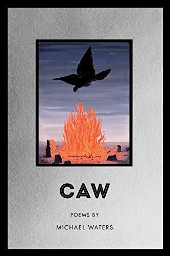 Caw book cover