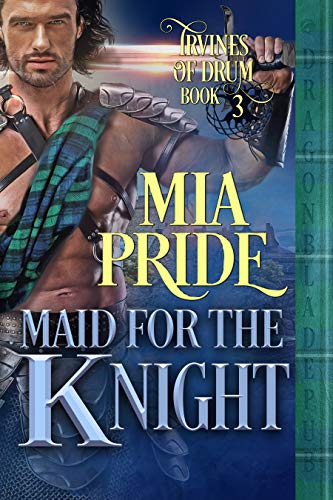 Maid for the Knight book cover