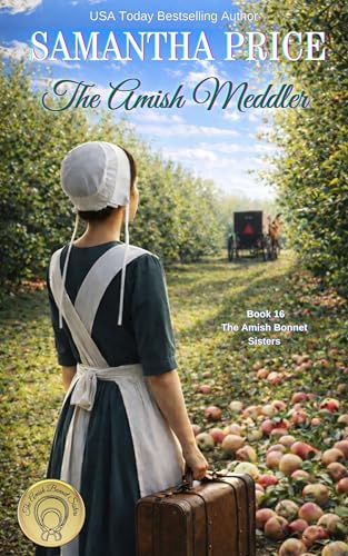 The Amish Meddler cover