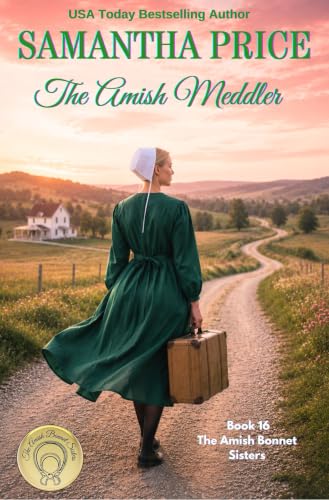 The Amish Meddler book cover