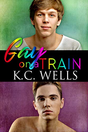 Gay on a Train cover