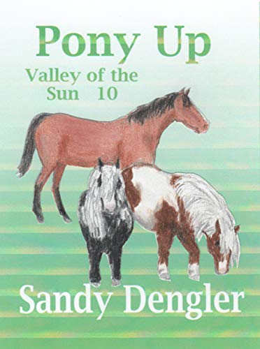 Pony Up book cover