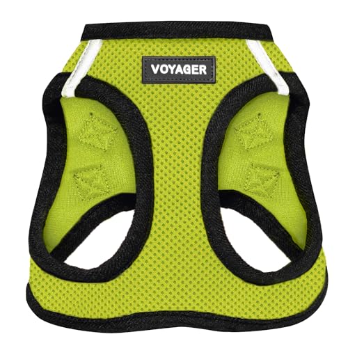 Best Pet Supplies Voyager Step-in Air Dog Harness - All Weather Mesh Step in Vest Harness for Small and Medium Dogs by - Harness (Lime Green/Black Trim), XXX-Small