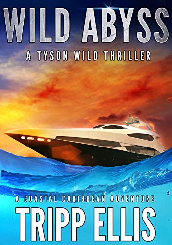 Wild Abyss book cover