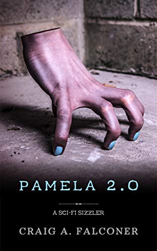 Pamela 2.0 book cover