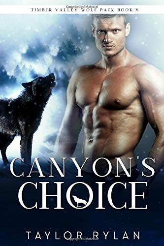 Canyon's Choice book cover