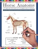 Horse Anatomy Veterinary Physiology Workbook And Coloring Anatomy Magnificent Learning Structure For Students Even Adults
