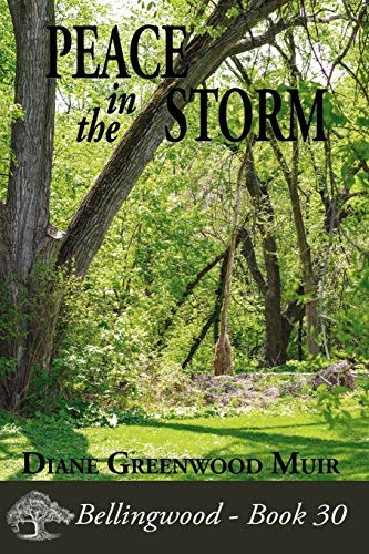 Peace in the Storm book cover