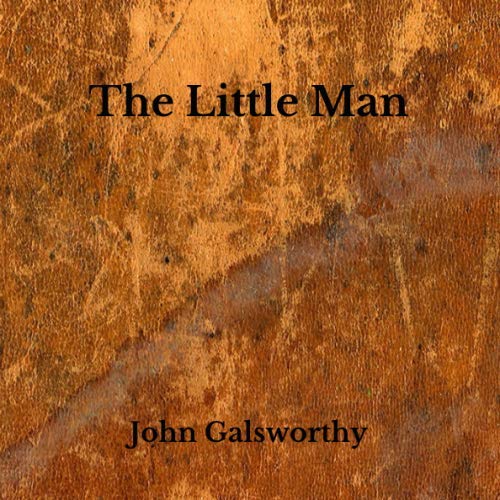 The Little Man book cover