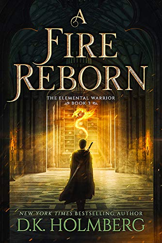 A Fire Reborn book cover