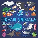 I Spy Ocean Animals A Fun Guessing Game Picture Book For Kids Ages 25 Toddlers And Kindergartners Picture Puzzle Book For Kids I Spy Books For Kids