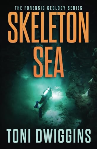 Skeleton Sea book cover