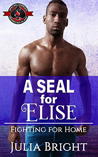 A SEAL for Elise book cover