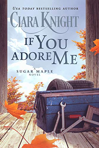 If You Adore Me book cover