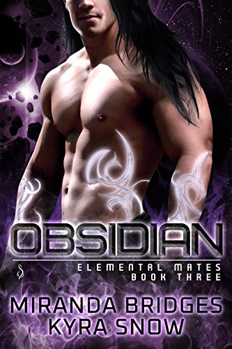 Obsidian book cover