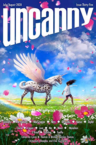 The Inaccessibility of Heaven book cover