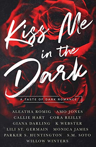 Kiss Me in the Dark book cover