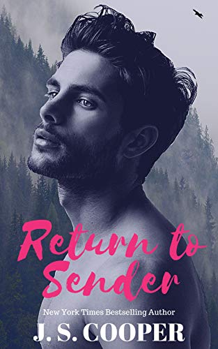 Return To Sender book cover