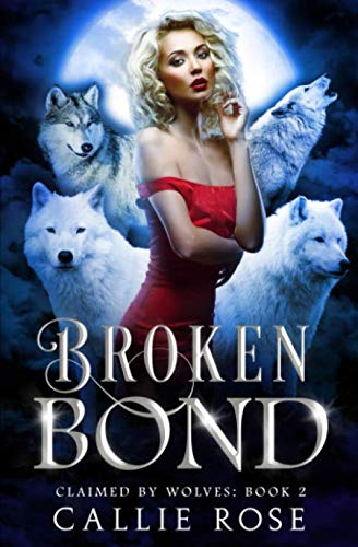 Broken Bond book cover