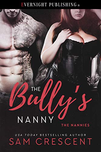 The Bully's Nanny book cover