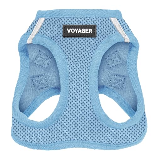 Best Pet Supplies Voyager Step-in Air Harness - All Weather Mesh, Reflective, No Pull Harness for Dogs, Cats - Secure with Hook & Loop Fastener, Buckle, Double D-Rings - Baby Blue, S